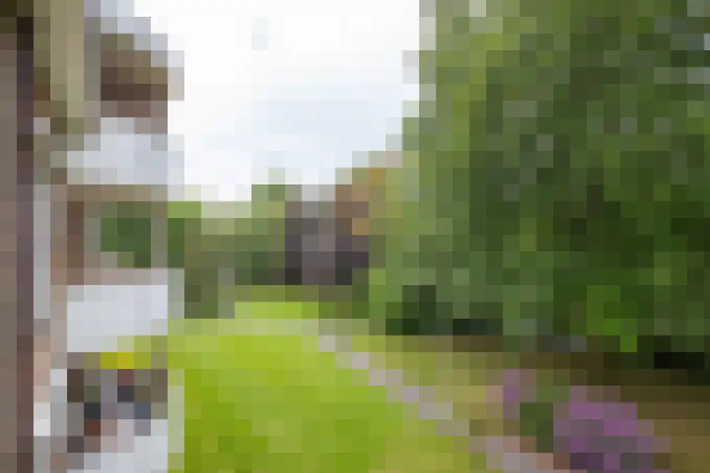 Veldschans 13 Woudenberg thumbnail 4