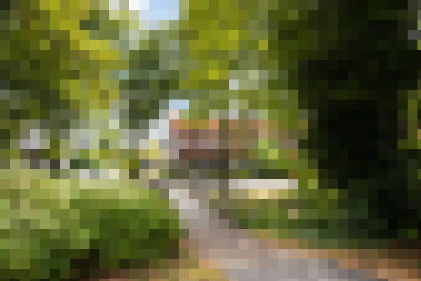 Veldschans 20 Woudenberg thumbnail 56