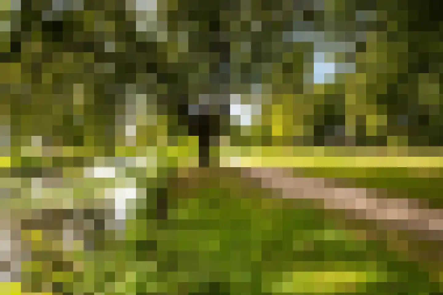 Veldschans 20 Woudenberg thumbnail 57