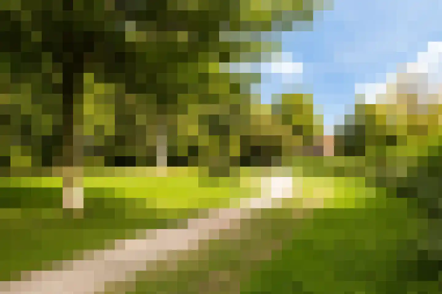 Veldschans 20 Woudenberg thumbnail 58