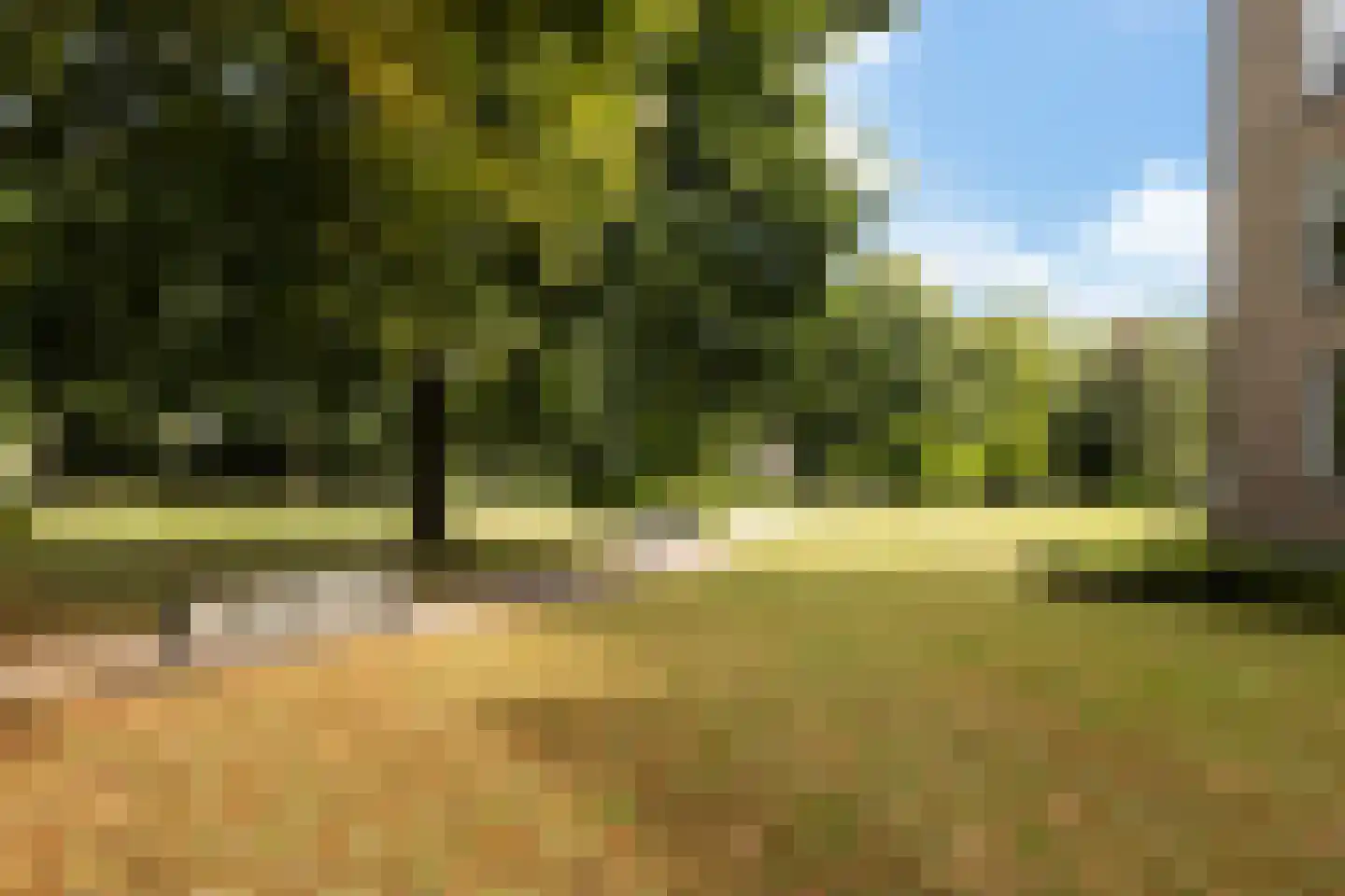 Veldschans 20 Woudenberg thumbnail 6