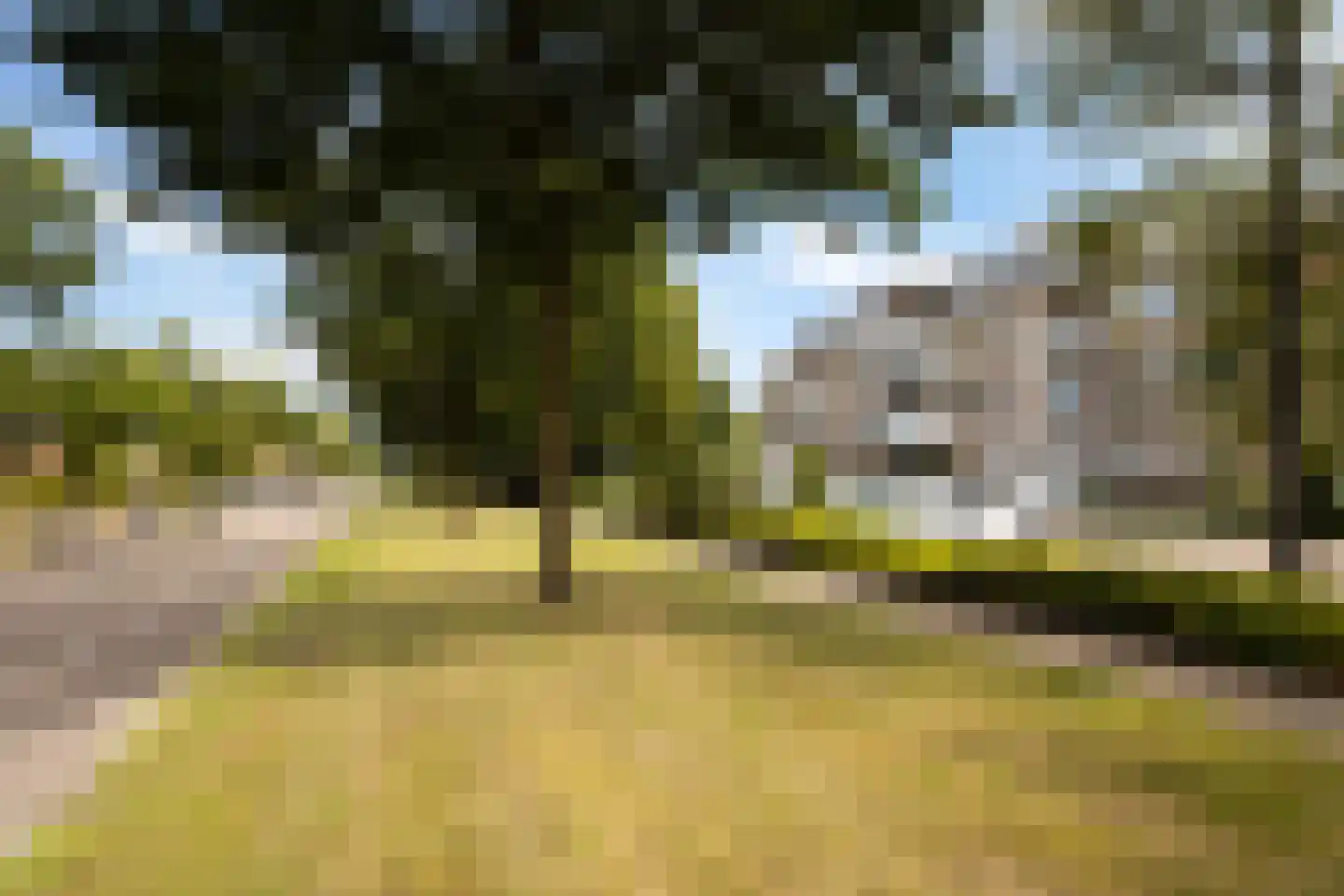 Veldschans 20 Woudenberg thumbnail 61