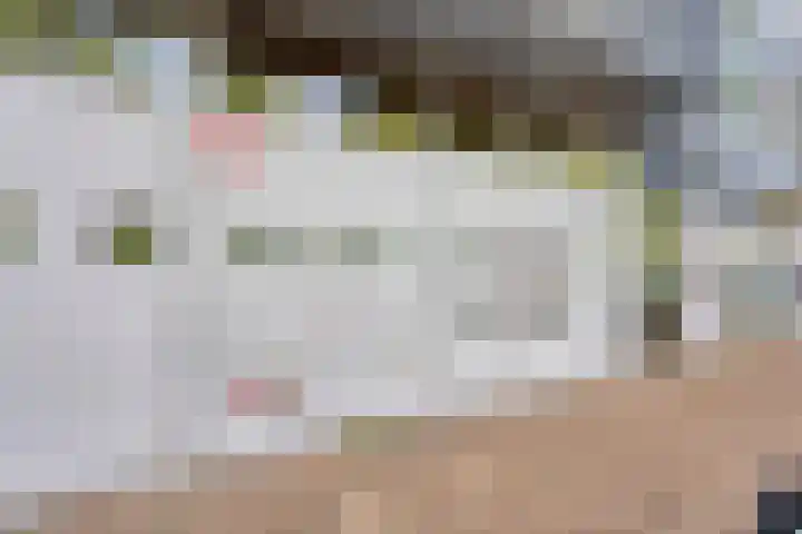 Veldschans 47 Heerenveen thumbnail 8