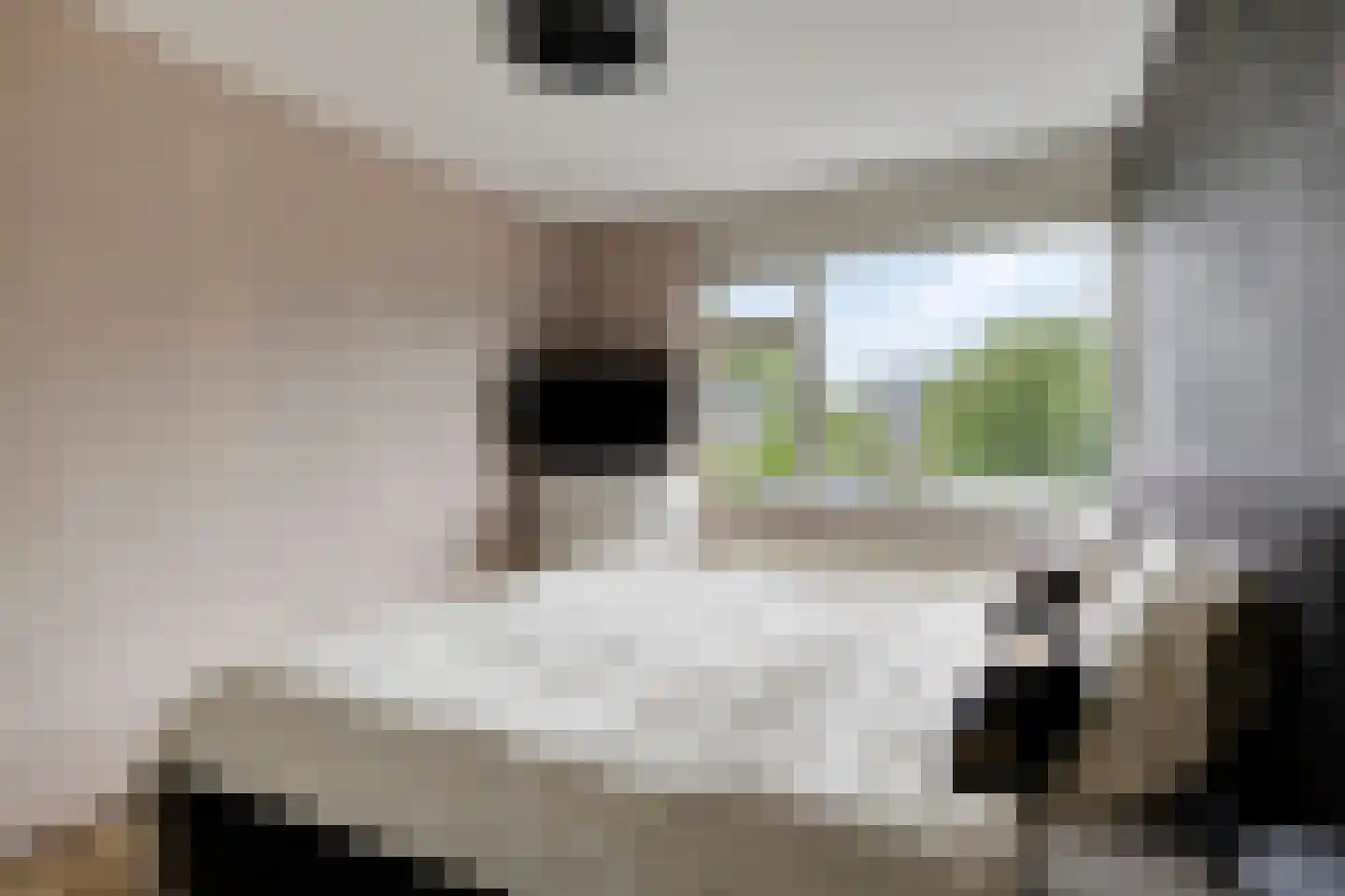 Veldschoren 11 Leusden thumbnail 20