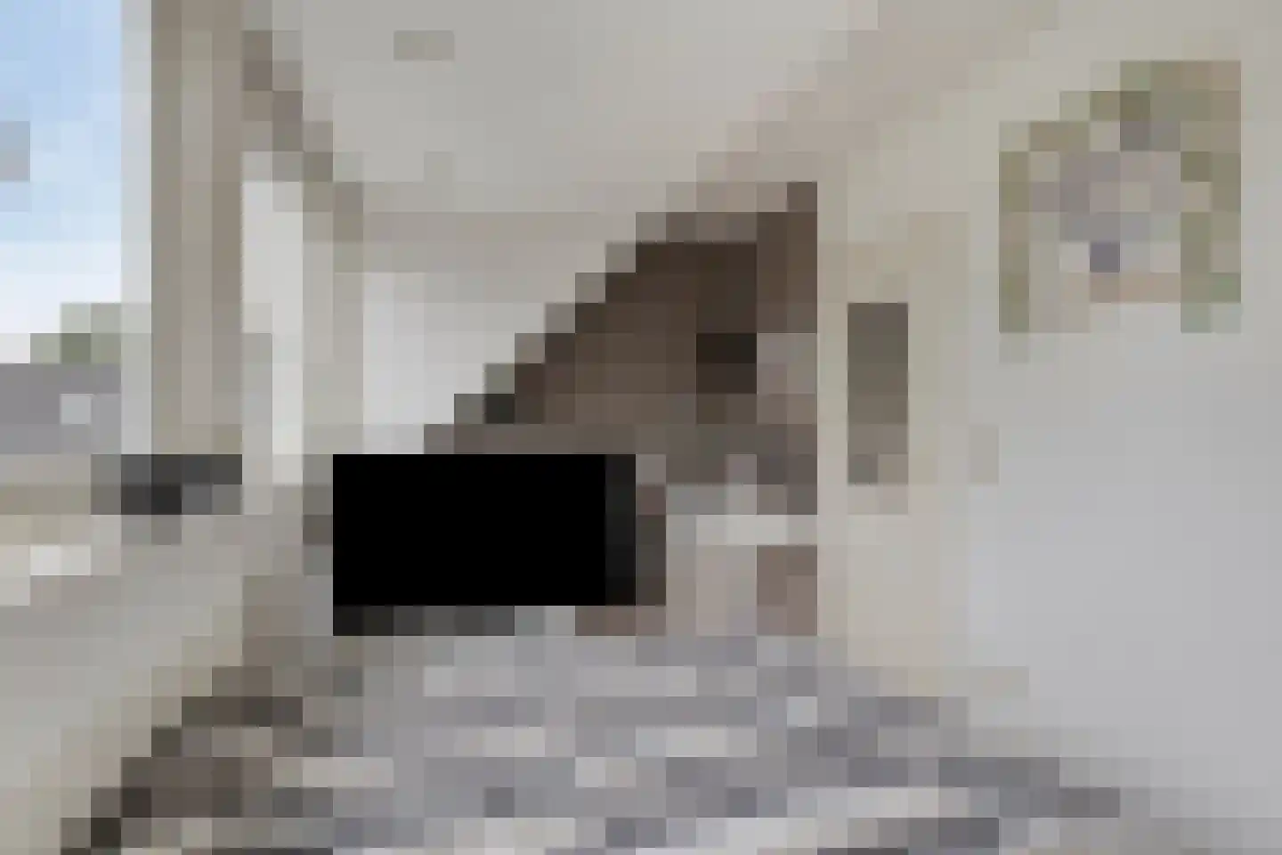 Veldschoren 11 Leusden thumbnail 31