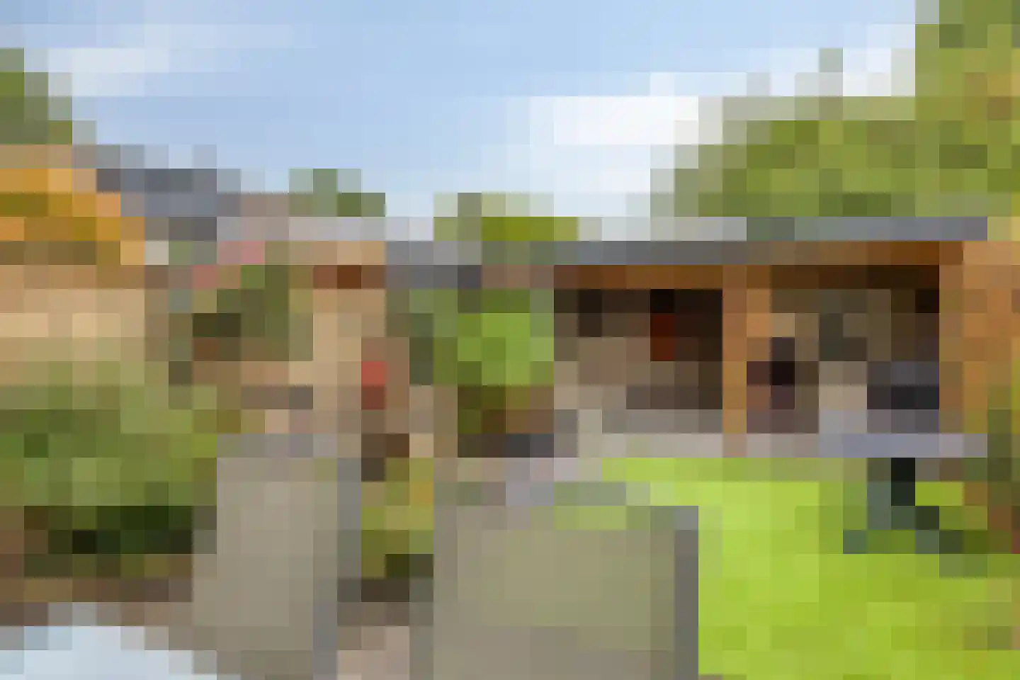 Veldschoren 11 Leusden thumbnail 36