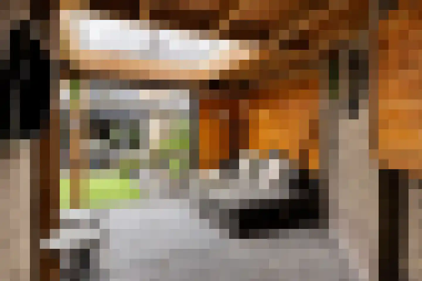 Veldschoren 11 Leusden thumbnail 41