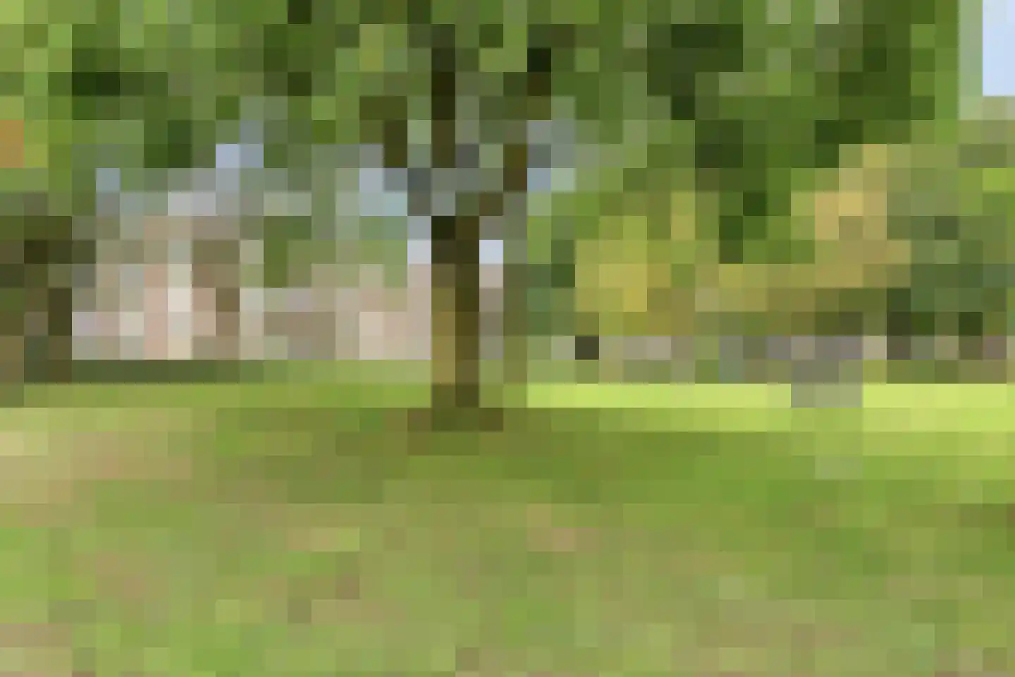 Veldschoren 11 Leusden thumbnail 46