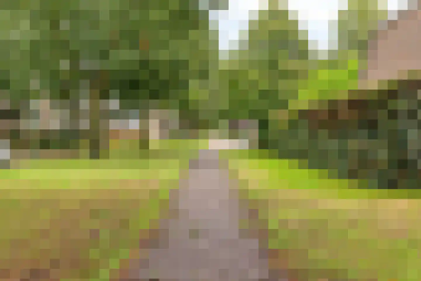 Veldschoren 11 Leusden thumbnail 48