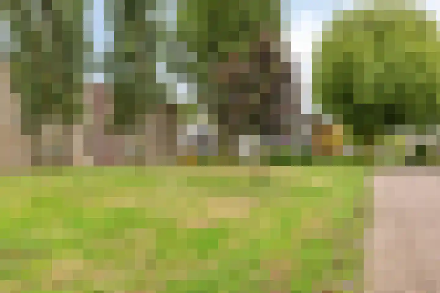 Veldschoren 11 Leusden thumbnail 49
