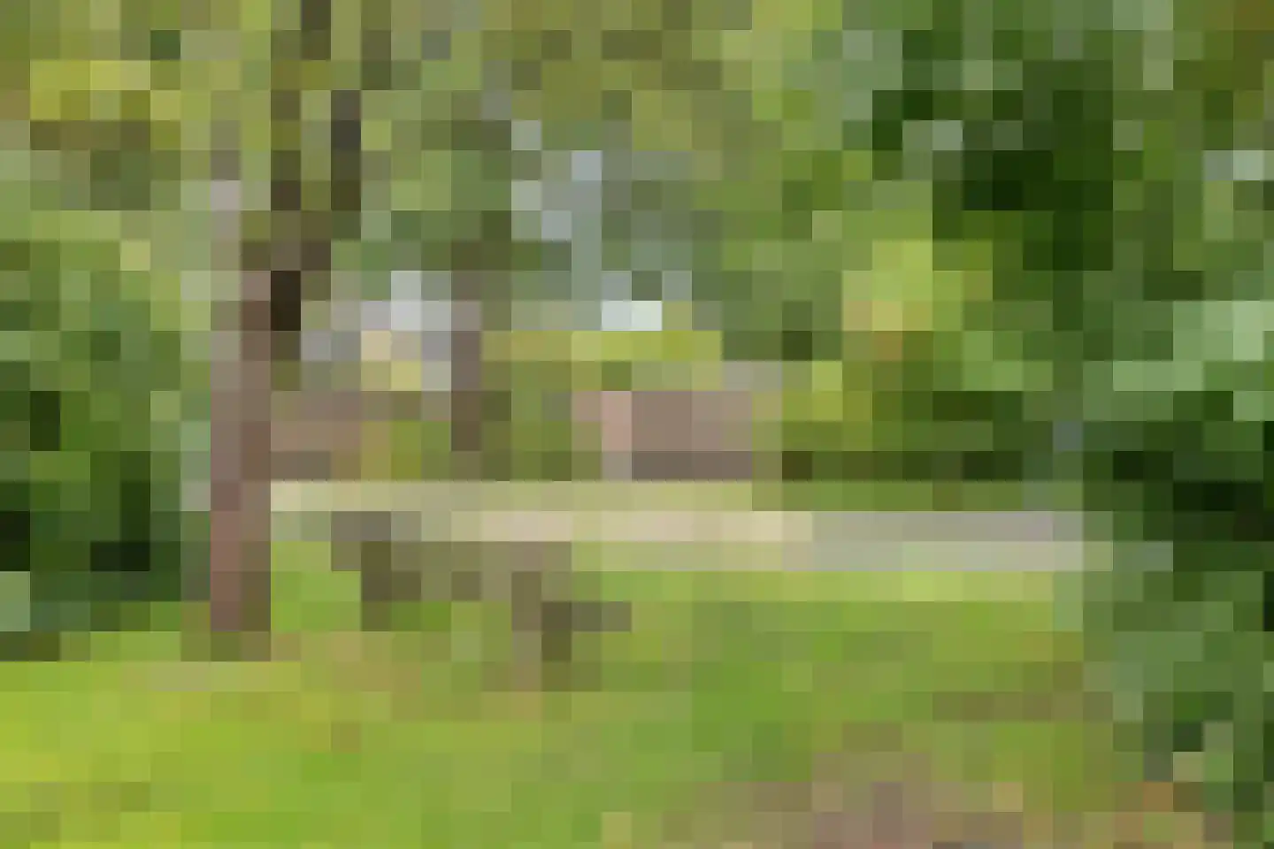 Veldschoren 11 Leusden thumbnail 50