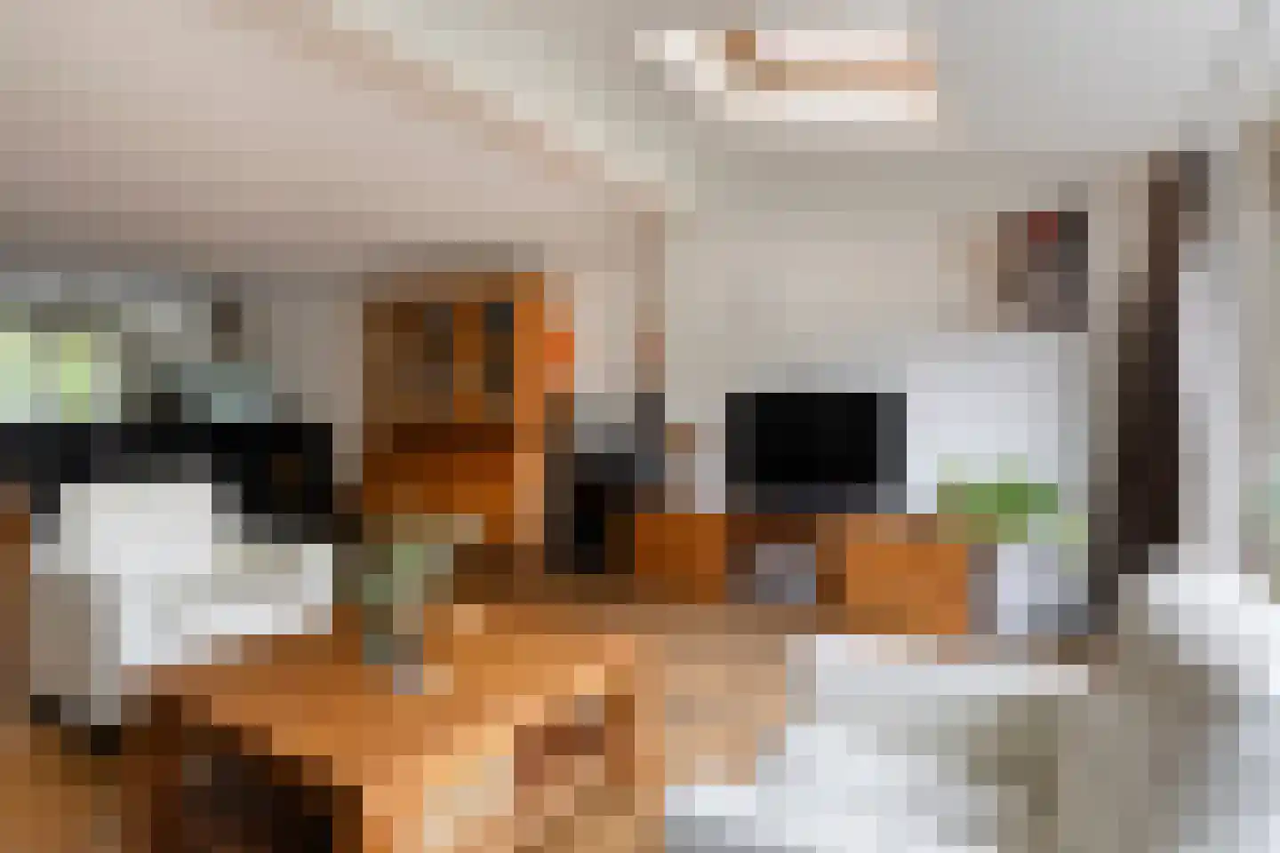 Veldschoren 11 Leusden thumbnail 9