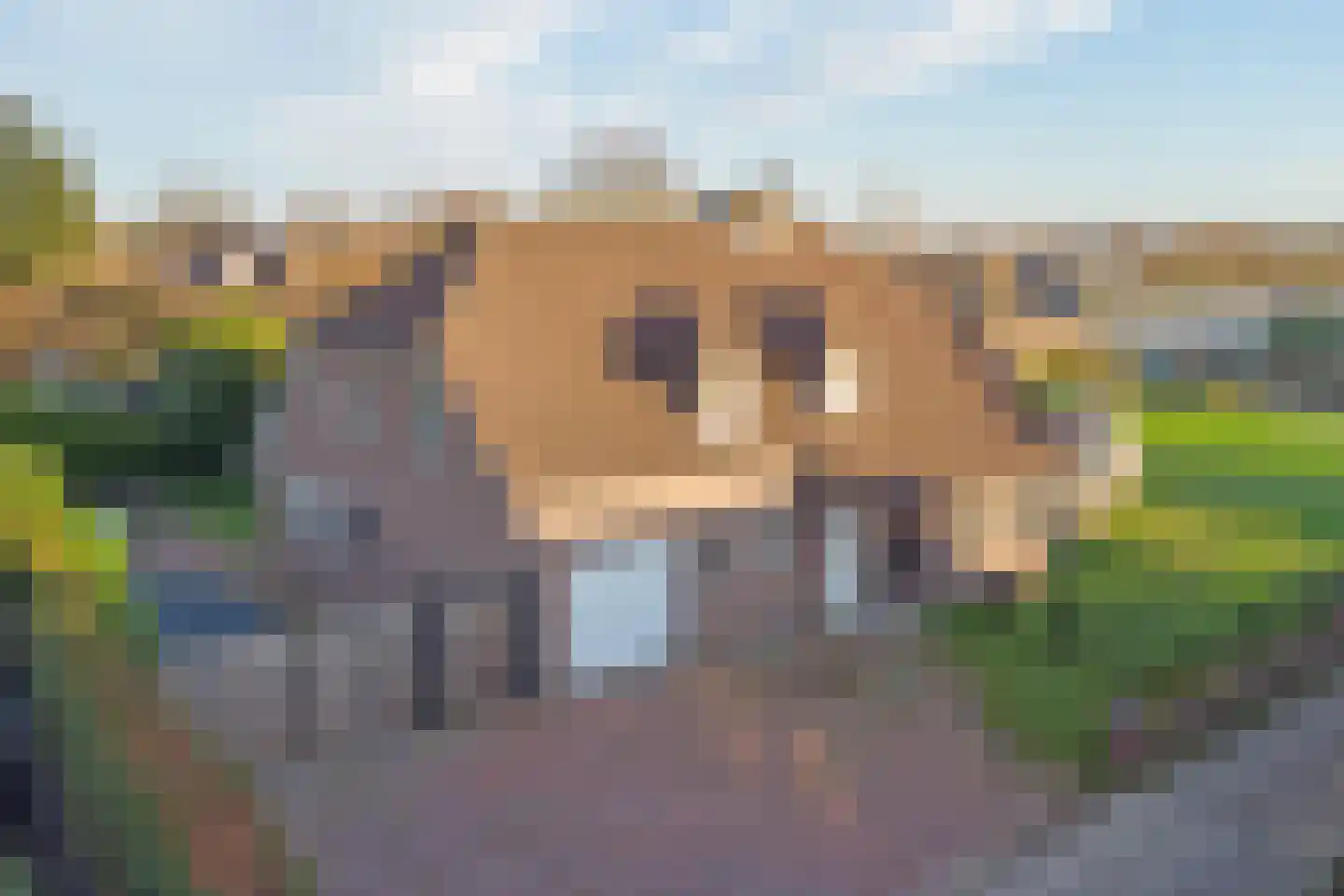 Veldsehuizen 11 a Maasbree thumbnail 101
