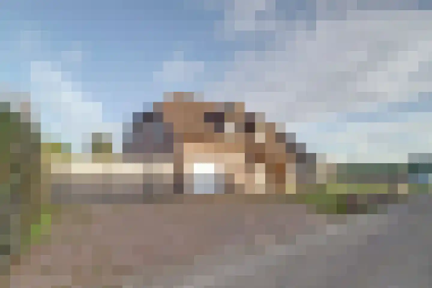 Veldsehuizen 11 a Maasbree thumbnail 102