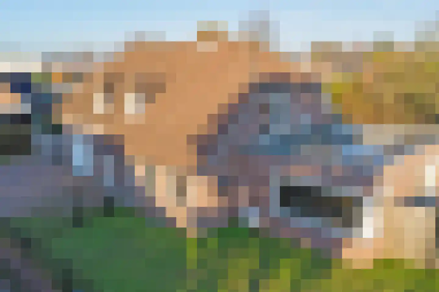 Veldsehuizen 11 a Maasbree thumbnail 107