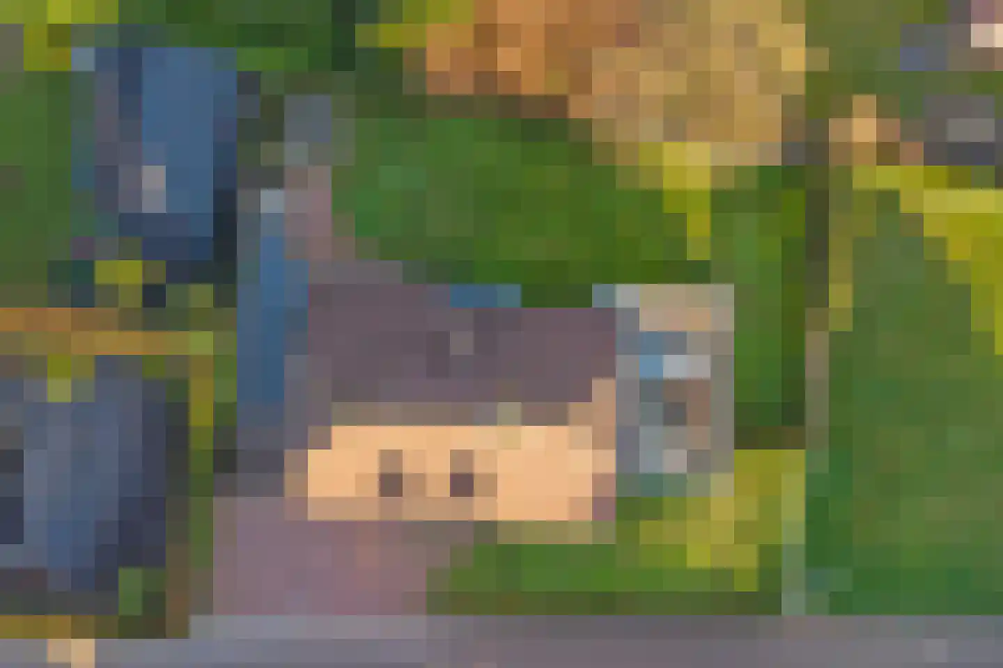 Veldsehuizen 11 a Maasbree thumbnail 108