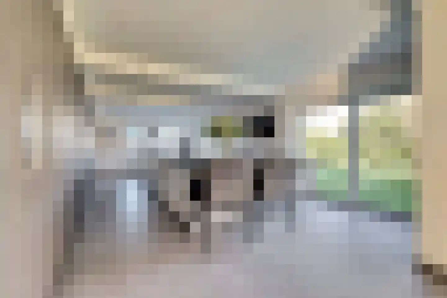 Veldsehuizen 11 a Maasbree thumbnail 30
