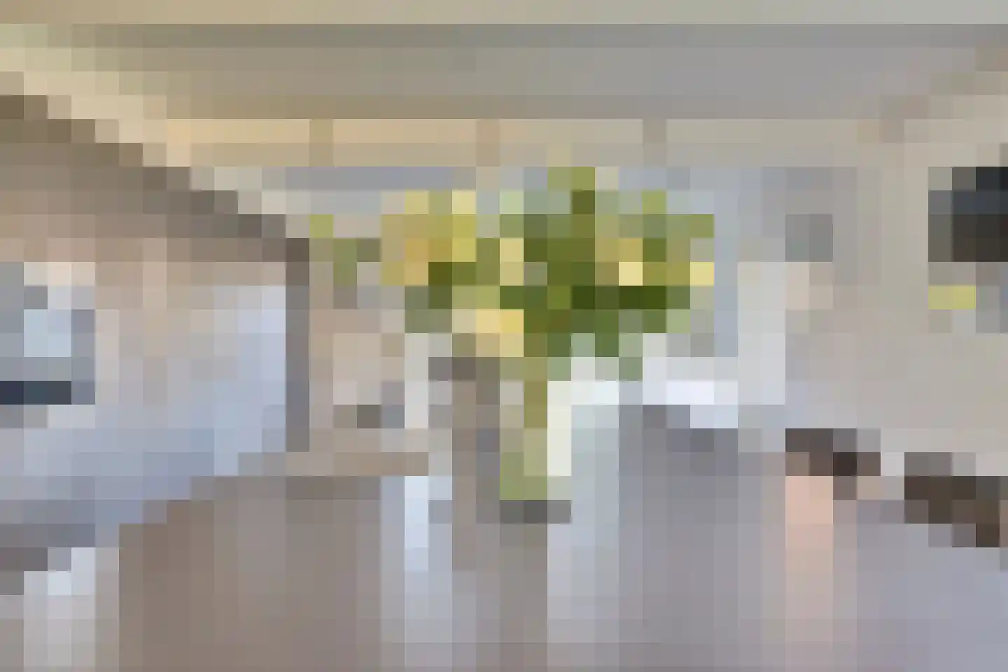 Veldsehuizen 11 a Maasbree thumbnail 31