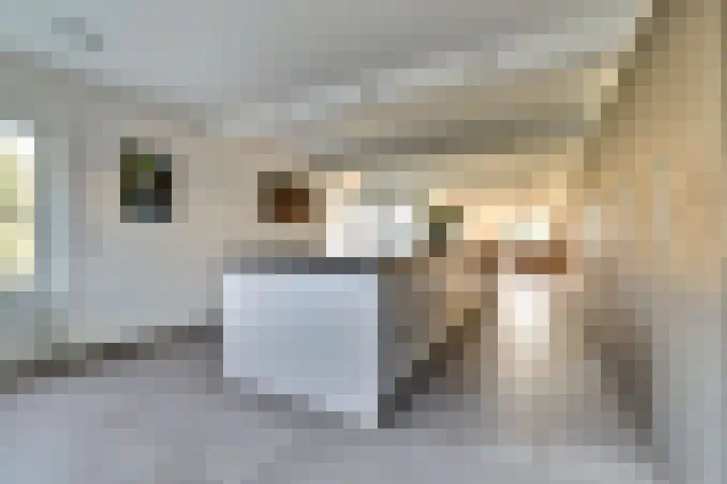 Veldsehuizen 11 a Maasbree thumbnail 34