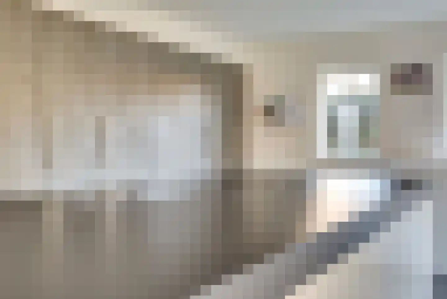 Veldsehuizen 11 a Maasbree thumbnail 41
