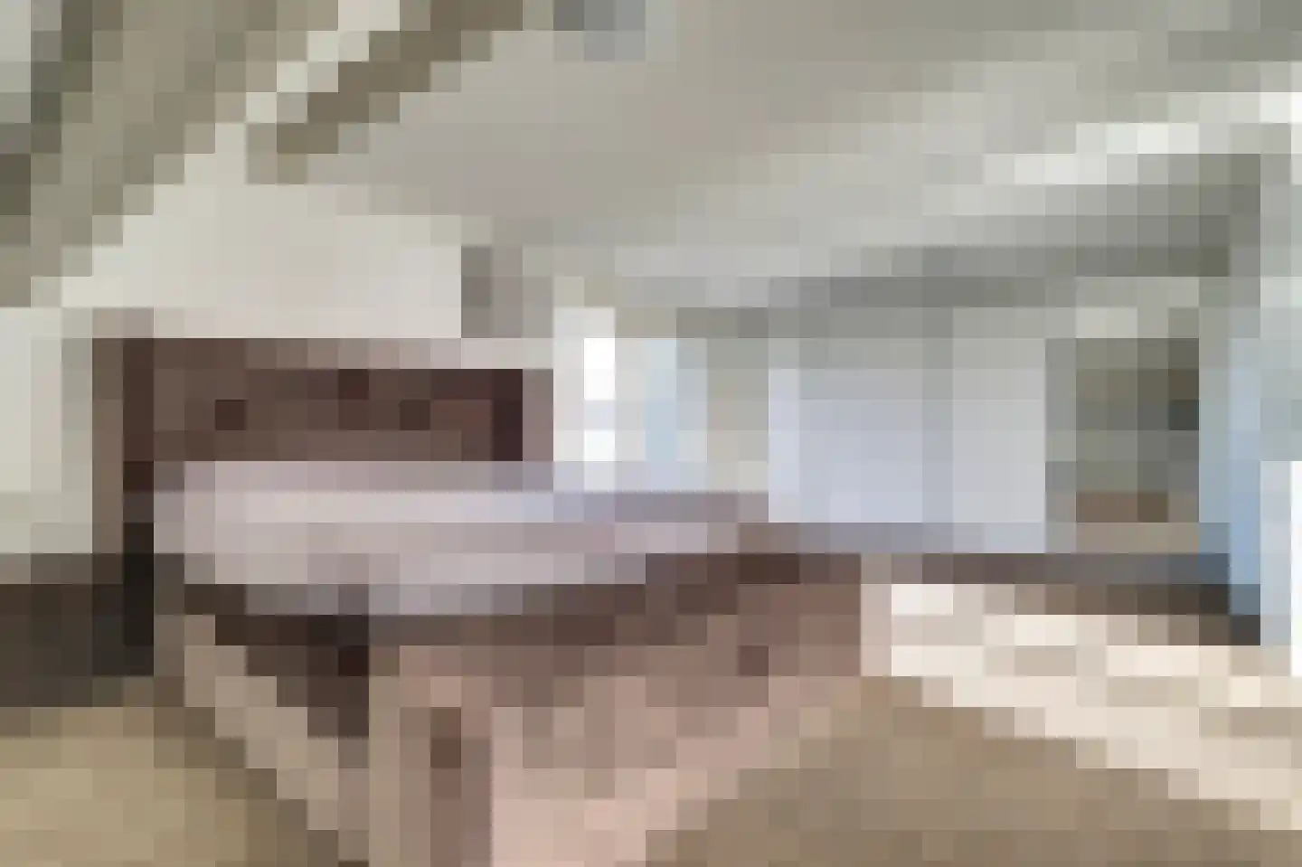 Veldsehuizen 11 a Maasbree thumbnail 48