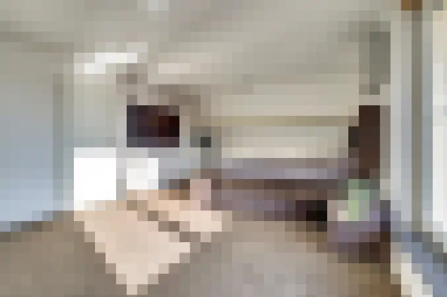 Veldsehuizen 11 a Maasbree thumbnail 50