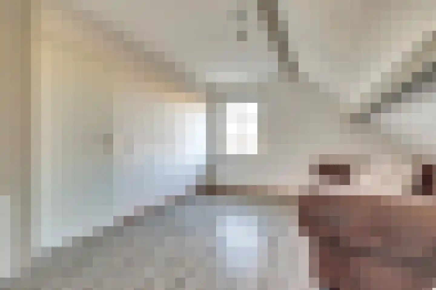 Veldsehuizen 11 a Maasbree thumbnail 57