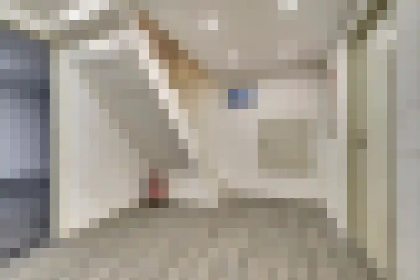 Veldsehuizen 11 a Maasbree thumbnail 69