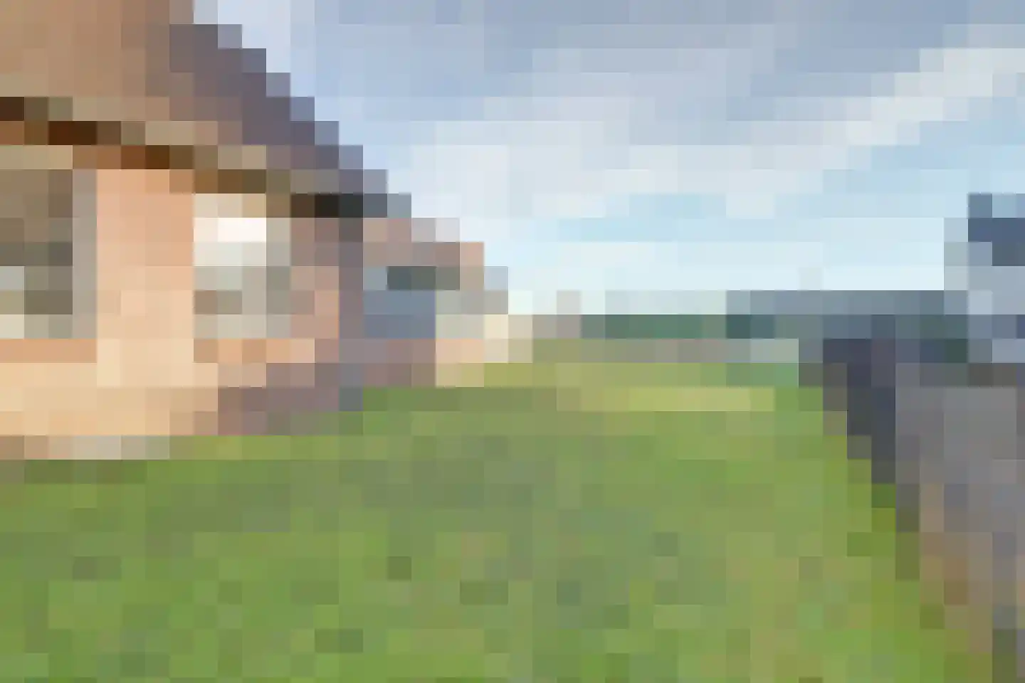 Veldsehuizen 11 a Maasbree thumbnail 94