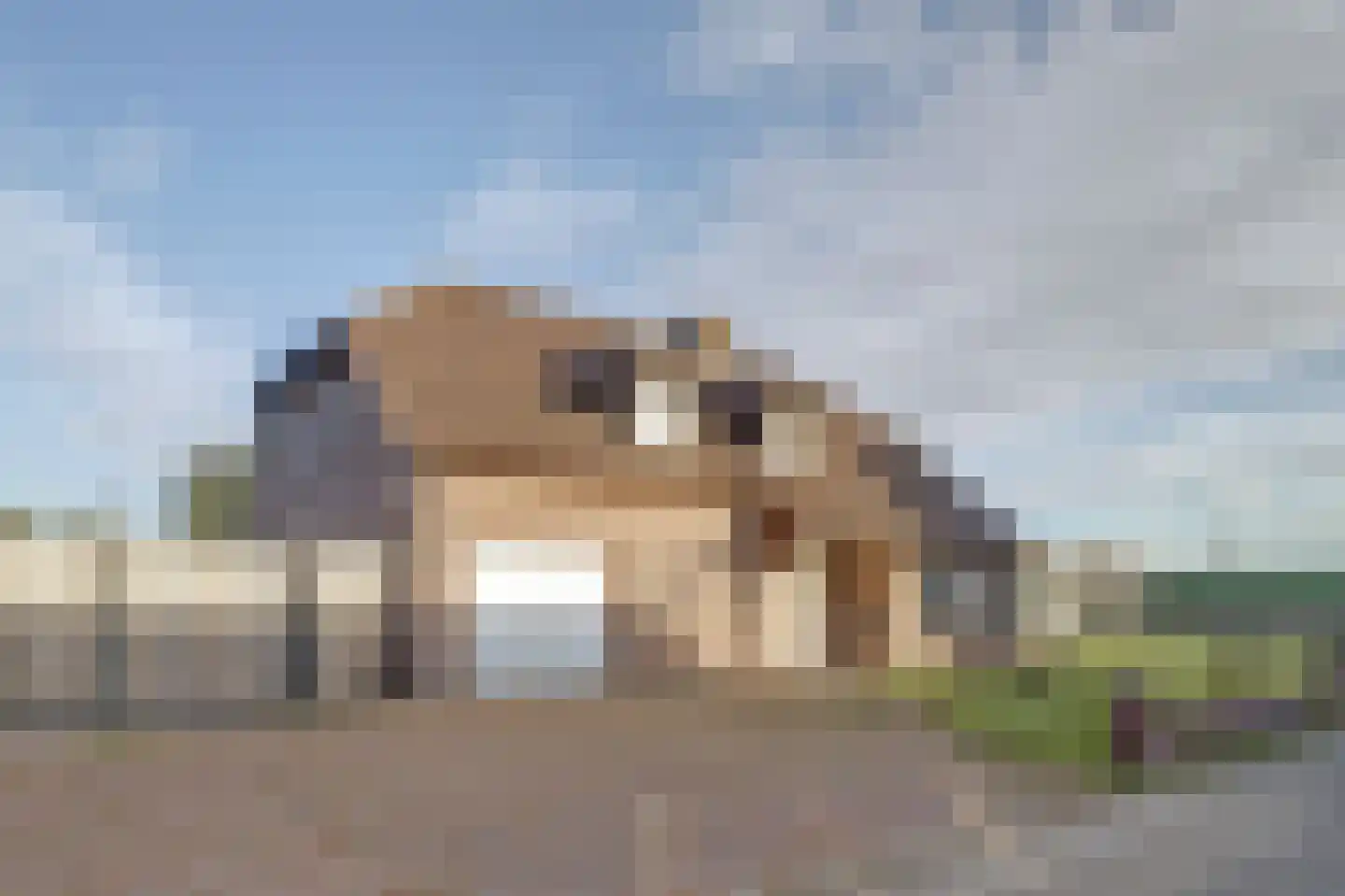 Veldsehuizen 11 a Maasbree thumbnail 98