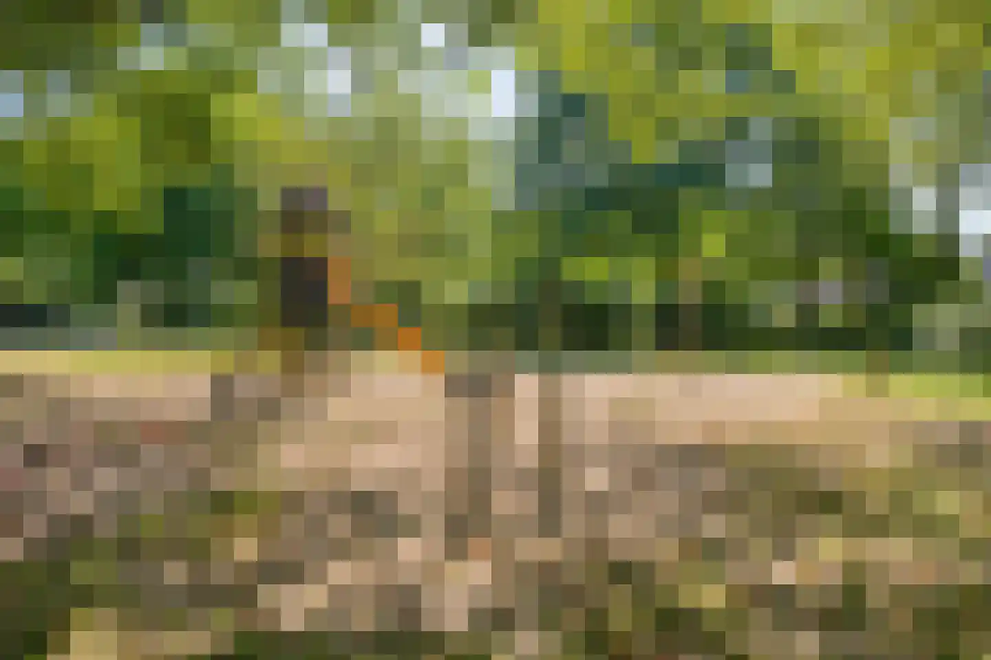 Veldsingel 212 Malden thumbnail 29