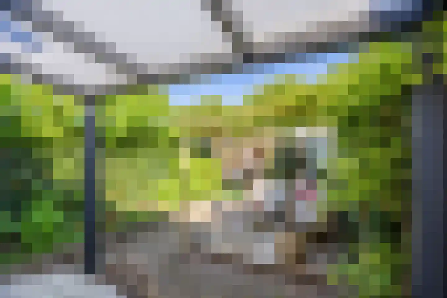 Veldsingel 45 Malden thumbnail 36