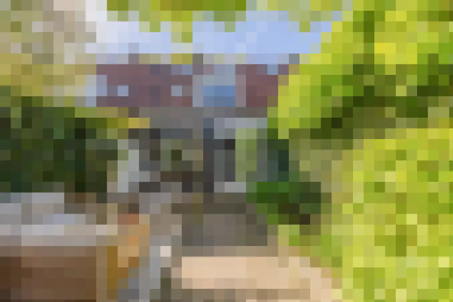 Veldsingel 45 Malden thumbnail 39
