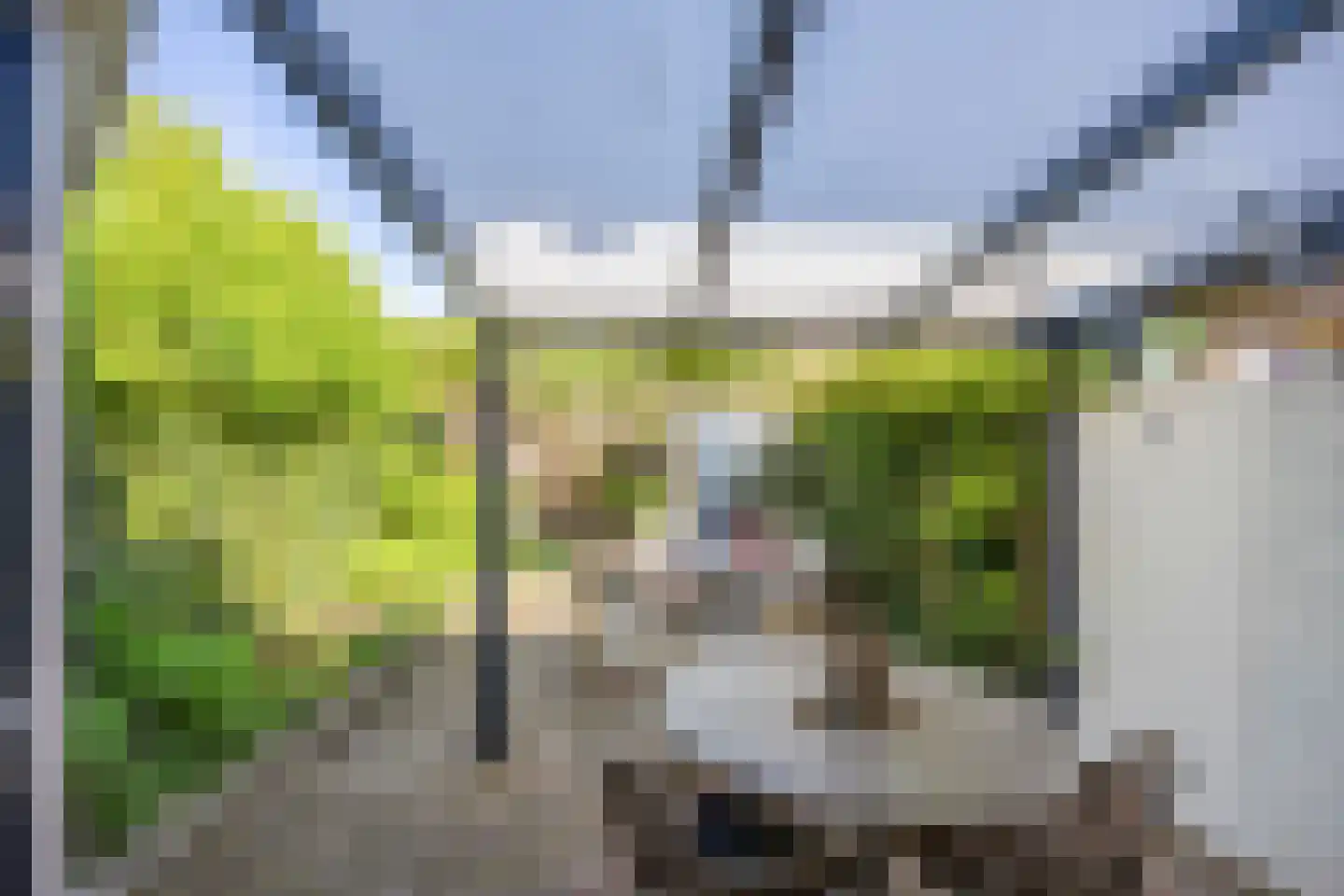 Veldsingel 45 Malden thumbnail 4