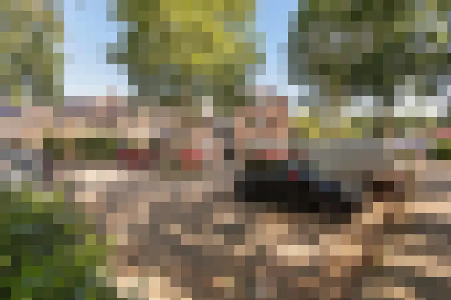 Veldsingel 5 Malden thumbnail 4