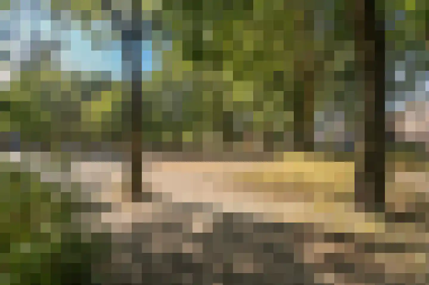 Veldsingel 5 Malden thumbnail 5