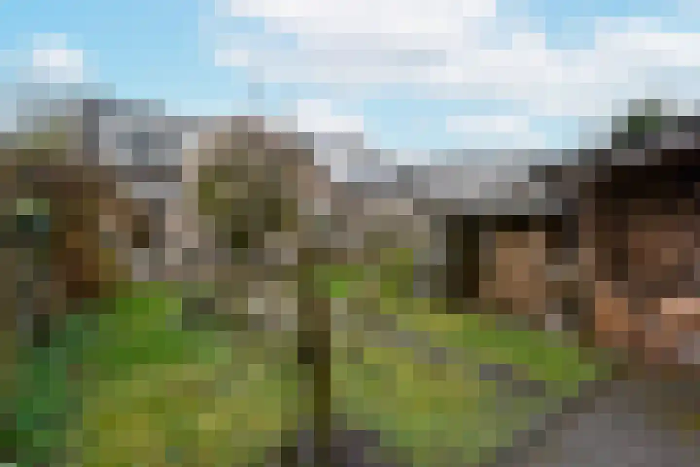 Veldsingel 71 Malden thumbnail 24