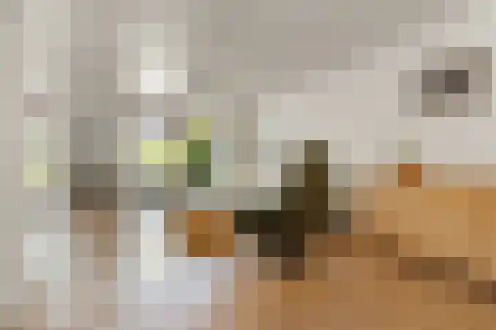 Veldsingel 77 Malden thumbnail 11