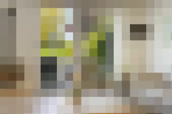 Veldsingel 77 Malden thumbnail 12