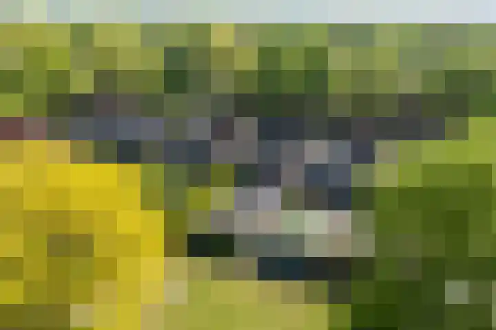 Veldsingel 77 Malden foto 2