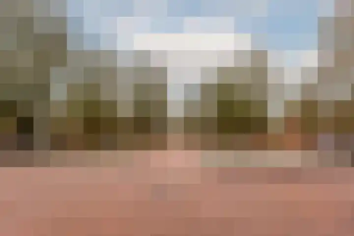 Veldsingel 77 Malden thumbnail 23