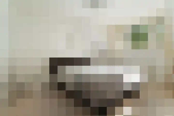 Veldsingel 77 Malden thumbnail 31