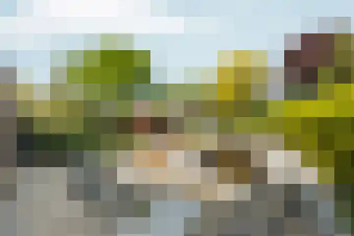 Veldsingel 77 Malden thumbnail 45