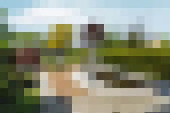 Veldsingel 77 Malden thumbnail 48