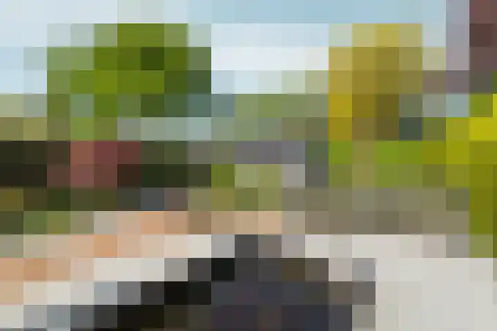 Veldsingel 77 Malden thumbnail 49