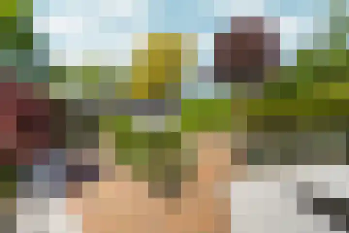 Veldsingel 77 Malden thumbnail 50