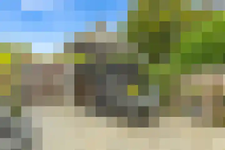 Veldsingel 77 Malden thumbnail 57