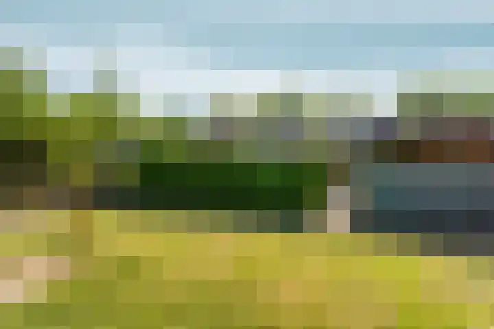 Veldsingel 77 Malden thumbnail 57