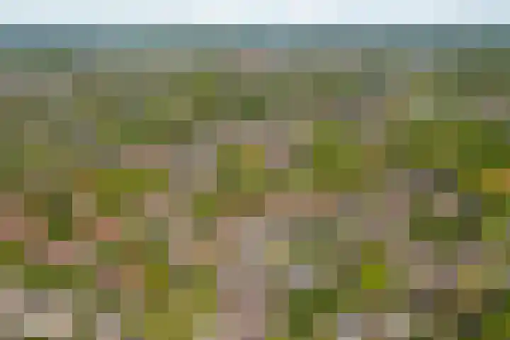 Veldsingel 77 Malden thumbnail 58