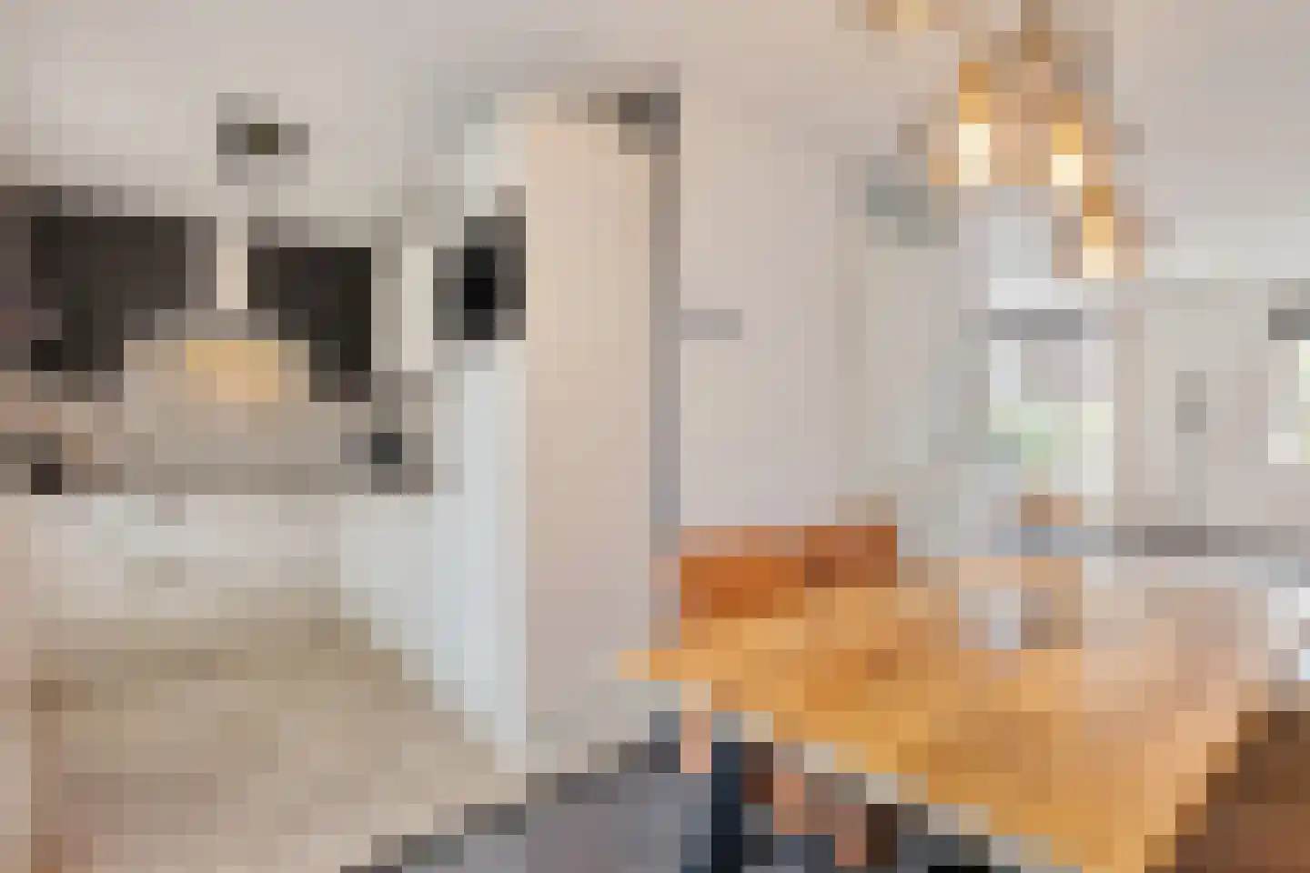 Veldsinklaan 19 Hardenberg thumbnail 17